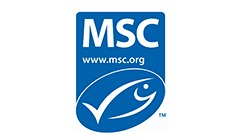 msc